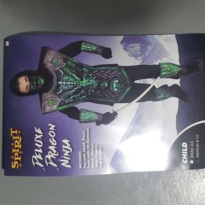 Delux Dragon Ninja Halloween costume